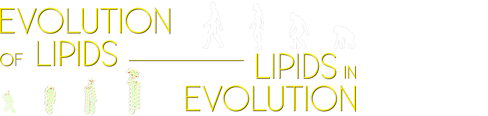Evolution of Lipids - Lipids in Evolution